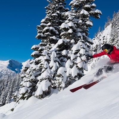 Skier speeding down a slope, low to the mountain, on powdery snow with trees and mountains in the background and vivid blue sky