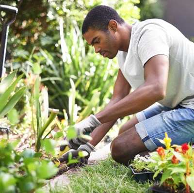 Gardener on kneeling on a lawn while he uses a trowel on a flowerbed with pots of plants ready for planting bedside him 