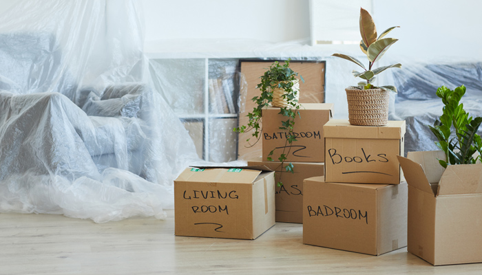 Room with furniture under plastic dust sheets, plants and labeled boxes