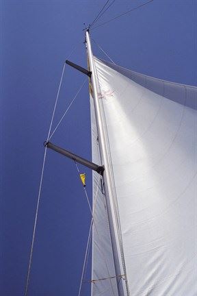 yacht sail up mast