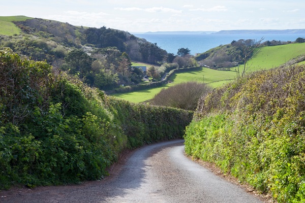 Devon country lane