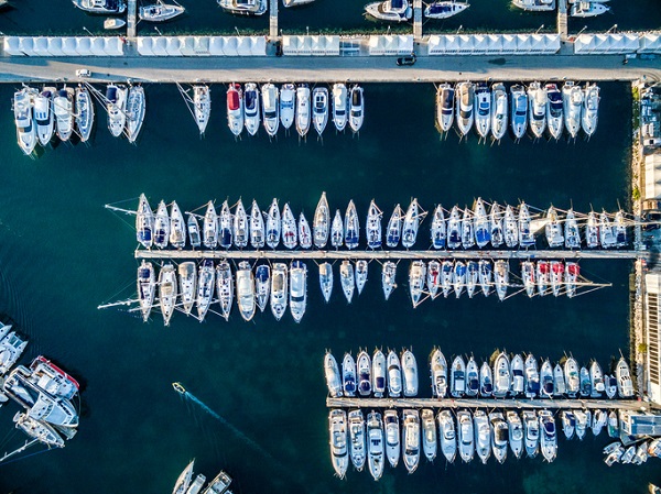 marina full of boats