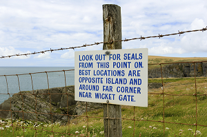 Coastal paths for seal spotting at Cardigan Bay