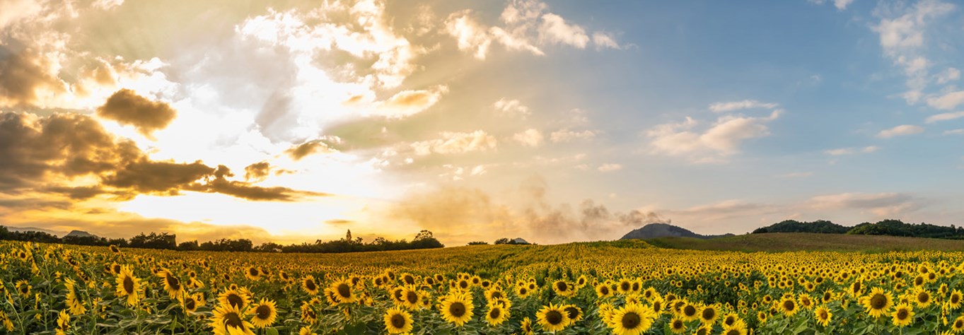 Thumb and Header - Bravo Networks National Conference 2025