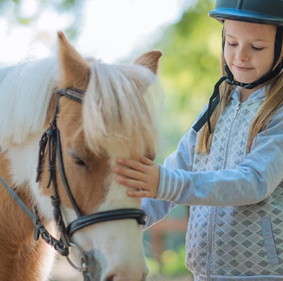waist up shot of a young girl in a horse riding hat stroking the forehead of a small pony with a larger horse and greenery in a blurred background