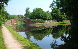 Part of the Avon Ring canal