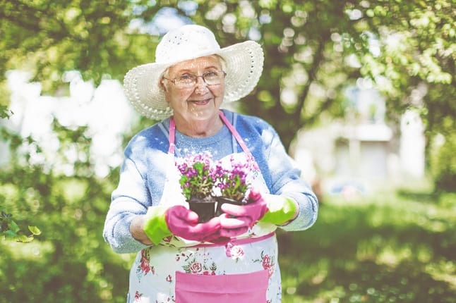 Elderly gardener with plants