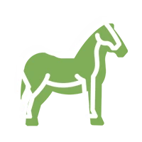 Horse Horse