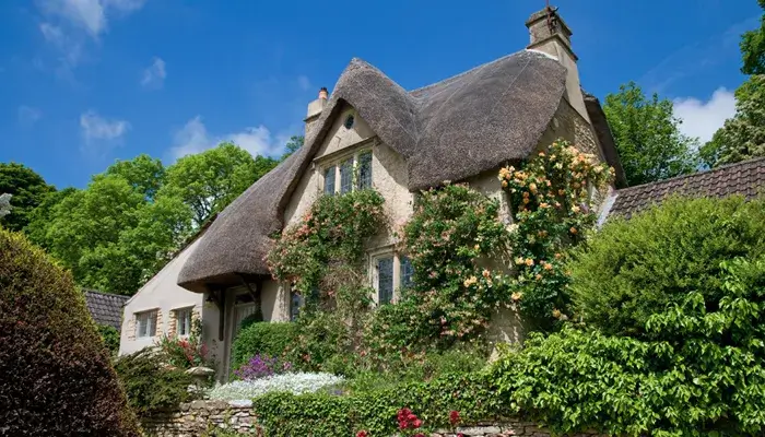 Thatched Property
