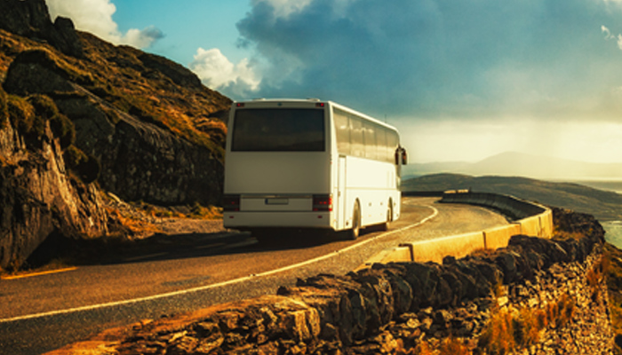 Tour Operator Coach