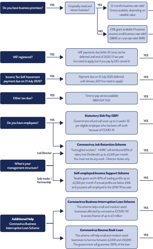 Government Support For Business Flowchart
