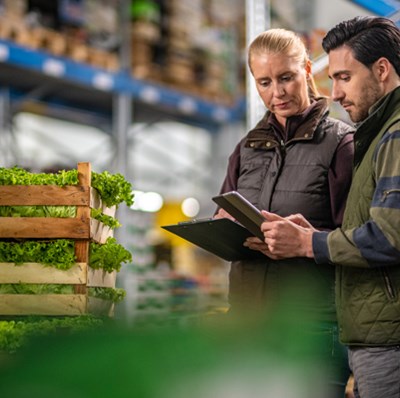 A man and woman standing beside crates of lettice looking at a digital tablet in a ware house. A man and woman standing beside crates of lettice looking at a digital tablet in a ware house.
