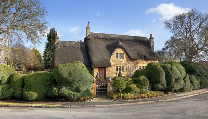Thatched Property2