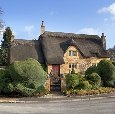 thatched property thatched property