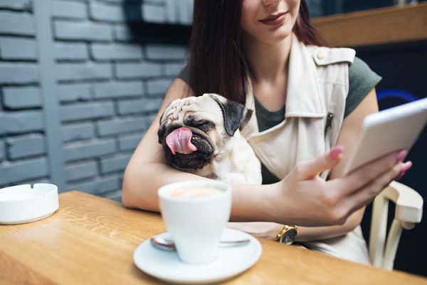 woman and pug sat in cafe