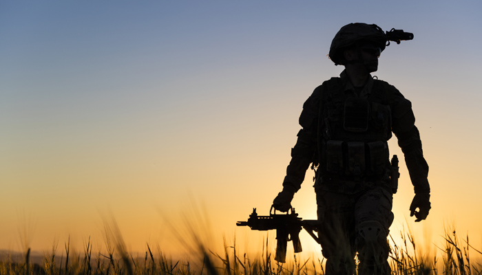 Military Personnel In Silhouette