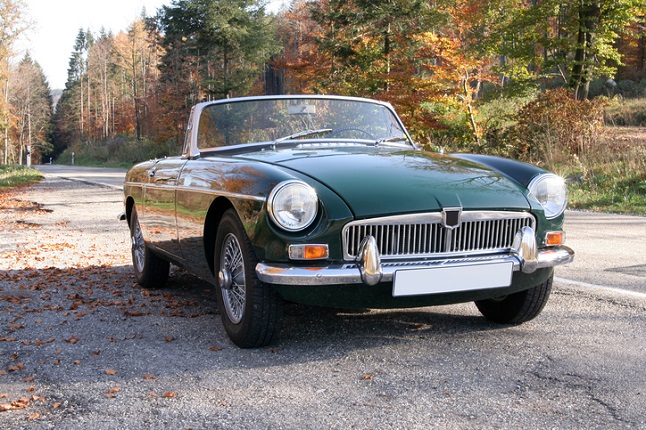 Classic car MG in woods