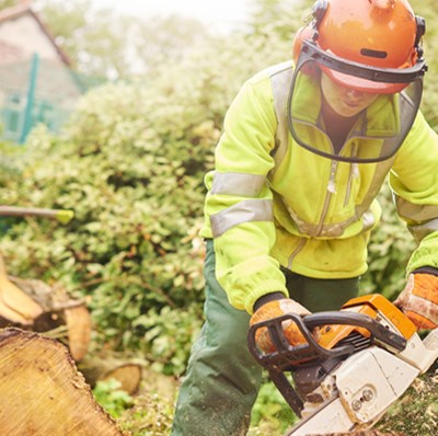 Person in high vis, gloves, hard hat with face guard and ear defenders, using an electric saw in a garden with lots of bushes and large sawn trunks