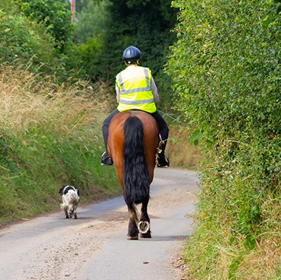 Rear View Of Horse Ridden On a Country Lane With a Dog Beside Rear View Of Horse Ridden On a Country Lane With a Dog Beside
