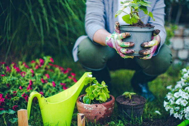 woman gardening holding potted plant