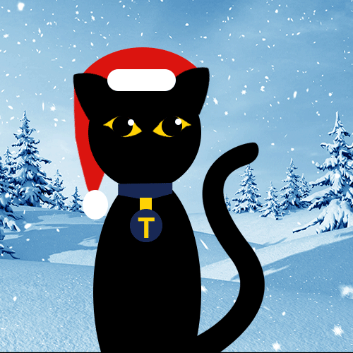 Advent Calendar Day 24 Pet Insurance - yellow and black-eyed cat