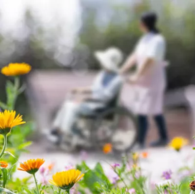 Flowers at the bottom of foreground with a blurred backdrop of a women being pushed in a wheelchair Flowers at the bottom of foreground with a blurred backdrop of a women being pushed in a wheelchair