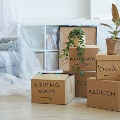 Room with furniture under plastic dust sheets, plants and labeled boxes