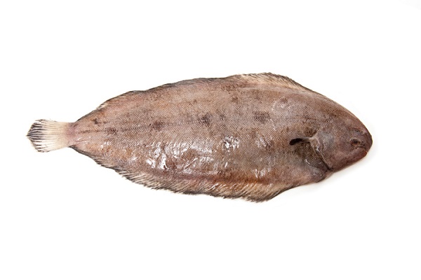 Sole fish