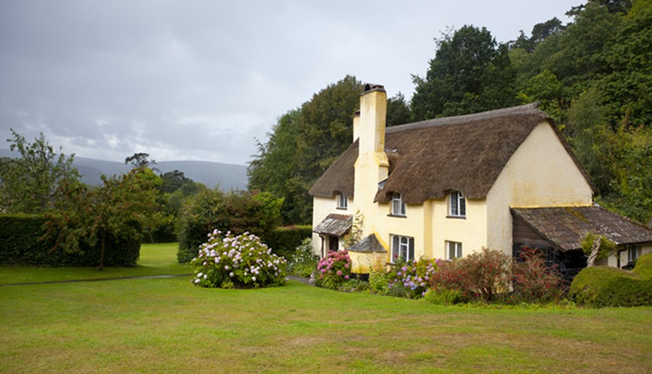 thatched cottage in countryside