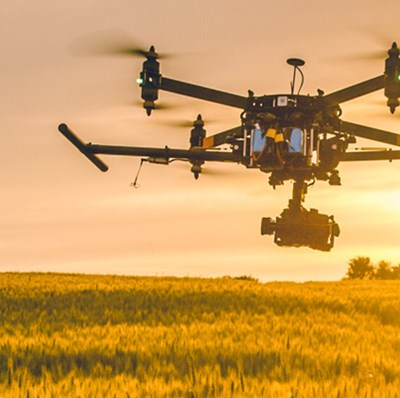 Commercial drone carrying a camera over a corn field with a yellow glow in the sky from the sun